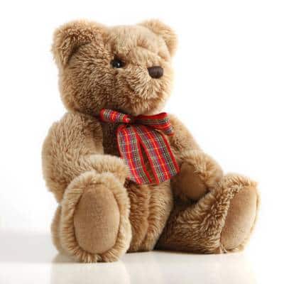 TEDDY BEARS